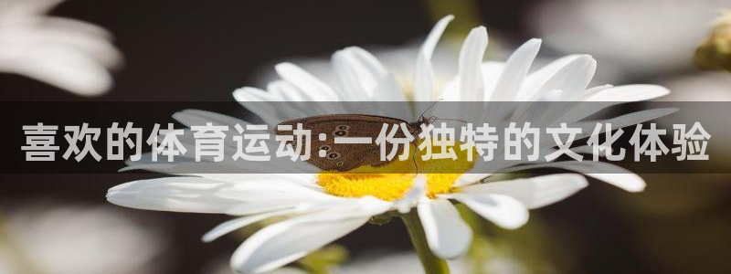 必发官网下载软件：喜欢的体育运动:一份独特的文化体验