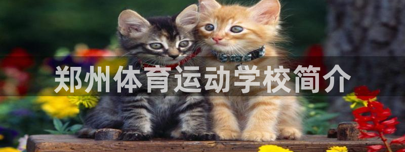 必发官网下载平台注册要钱吗是真的吗：郑州体育运动学校简介