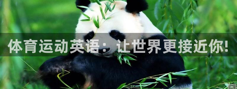 必发官方正版app娱乐平台：体育运动英语：让世界更接近你!