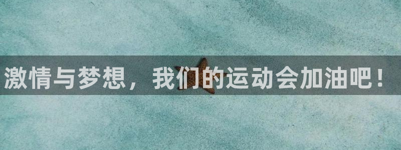必发官方正版app官方：激情与梦想，我们的运动会加油吧！