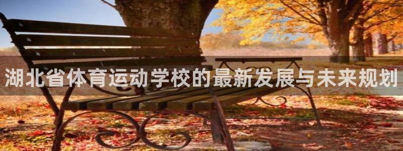 必发官方正版app娱乐代理怎么样：湖北省体育运动学校