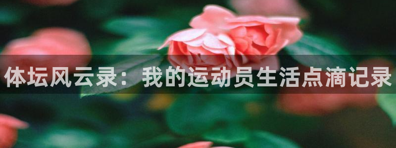 必发官网下载招商电话地址：体坛风云录：我的运动员生活
