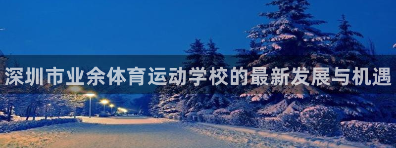 必发官方正版app集团logo：深圳市业余体育运动学