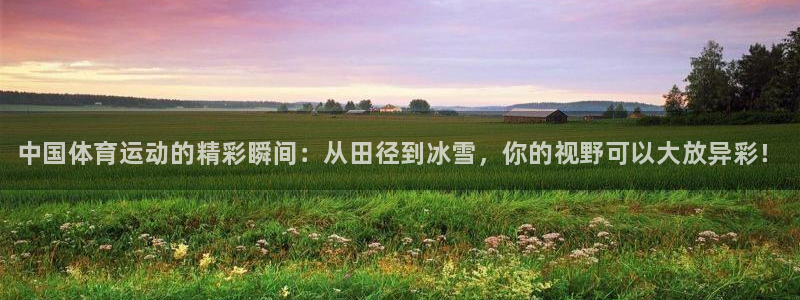 必发官方正版app开户：中国体育运动的精彩瞬间：从田