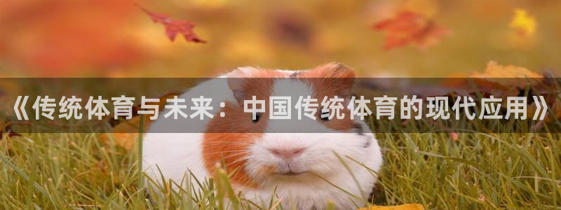 必发官方正版app娱乐代理怎么样：《传统体育与未来：