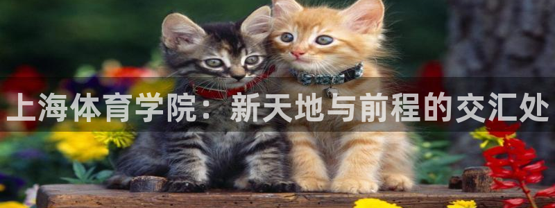 必发官网下载招商电话：上海体育学院：新天地与前程的交