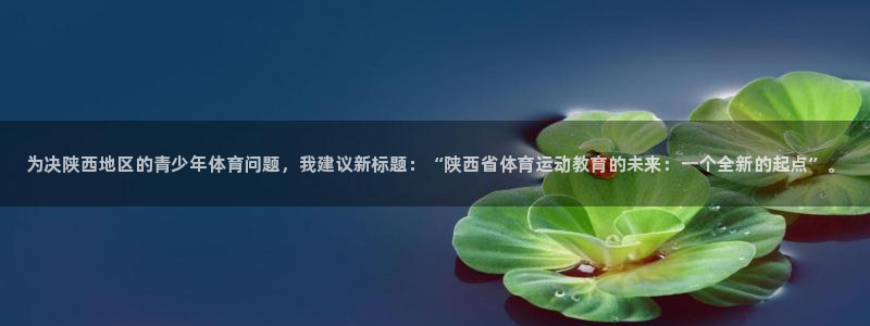 必发官方正版app集团官网网址：为决陕西地区的青少年体育问题