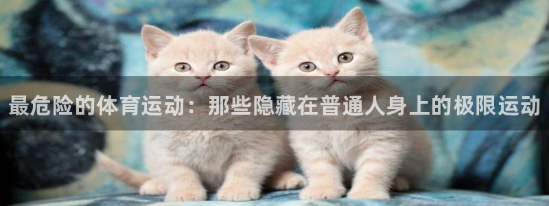 必发官方正版app集团简介
