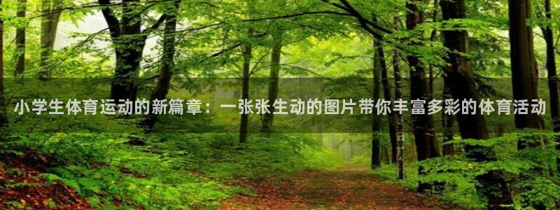 必发官网下载开户