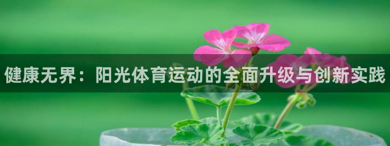 必发官网下载招商电话是多少号码：健康无界：阳光体育运动的全面