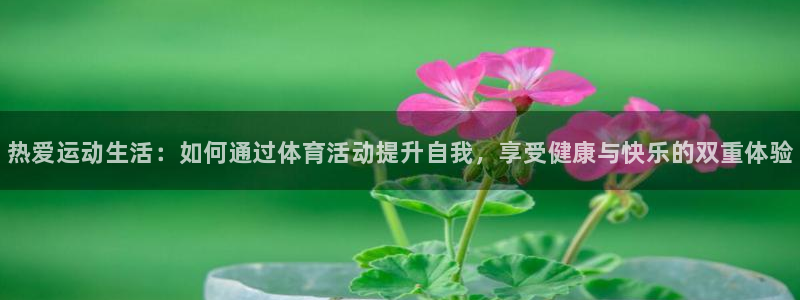 必发官方正版app娱乐首页网站大全：热爱运动生活：如何通过体