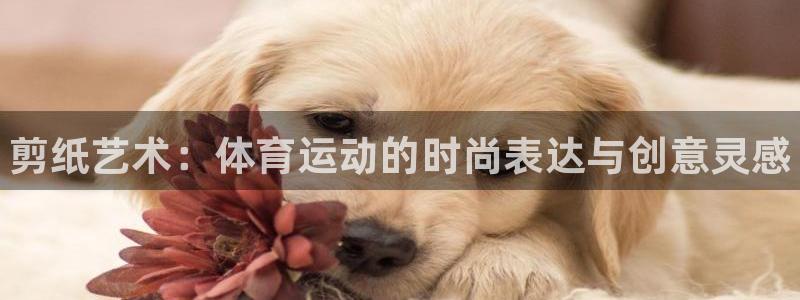 必发官网下载平台注册流程图：剪纸艺术：体育运动的时尚表达与创