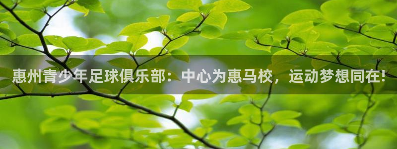 必发官网下载招商电话是多少啊：惠州青少年足球俱乐部：中心为惠
