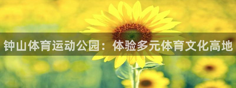 必发官方正版app代理