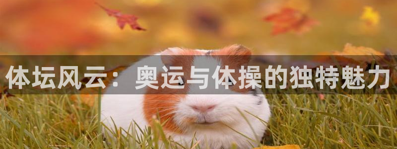 必发官方正版app官网：体坛风云：奥运与体操的独特魅