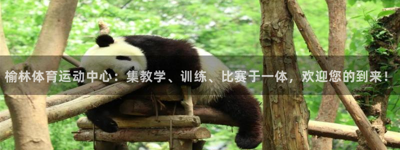 必发官方正版app集团官网首页网址：榆林体育运动中心