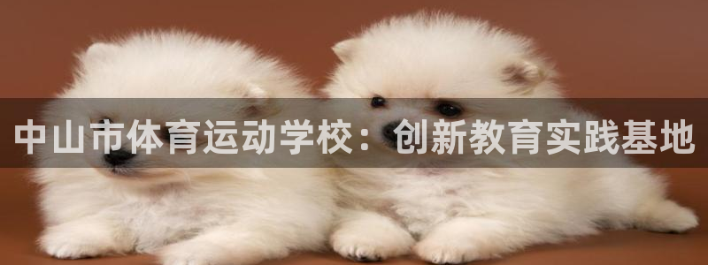 必发官网下载娱乐:中山市体育运动学校:创新教育实践基地