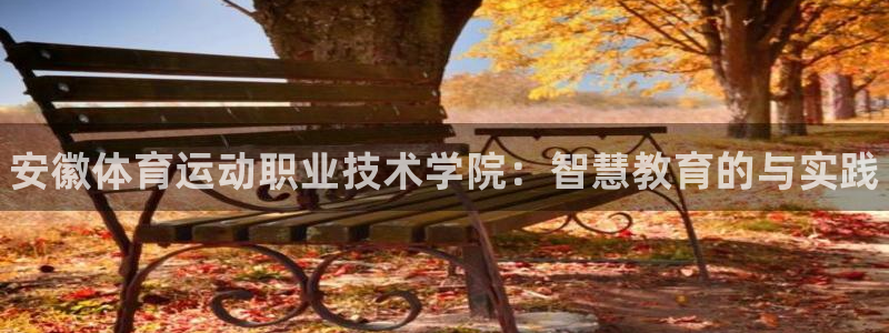 必发官网下载是干嘛的公司:安徽体育运动职业技术学院:智慧教育