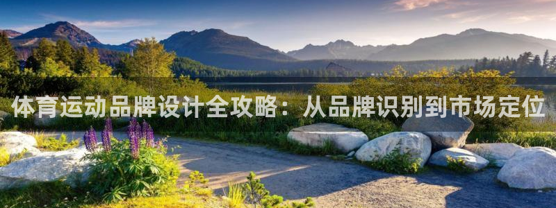 海南必发官网下载:体育运动品牌设计全攻略:从品牌识别到市场定