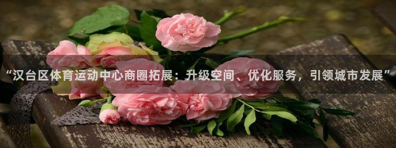 必发官方正版app集团官网首页：“汉台区体育运动中心商圈拓展