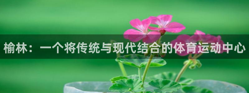 必发官网下载开户