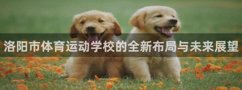 必发官方平台体育