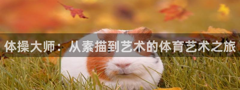 必发官方正版app集团简介：体操大师：从素描到艺术的体育艺术