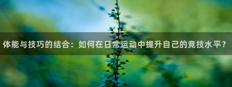必发官方正版app新能源：体能与技巧的结合：如何在日