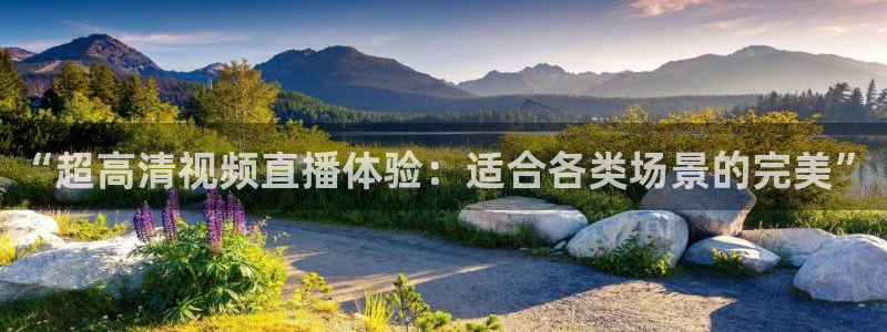 劲爆体育在线直播高清：“超高清视频直播体验：适合各类场景的完美”