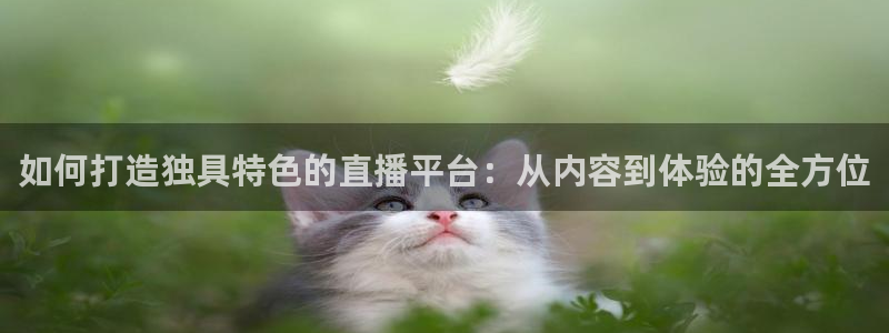 劲爆体育nba直播视频：如何打造独具特色的直播平台：从内容到体验的全方位