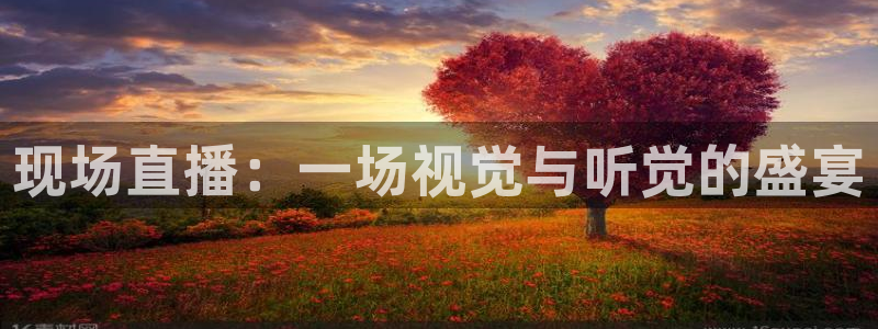 劲爆体育nba直播视频免费观看：现场直播：一场视觉与听觉的盛宴